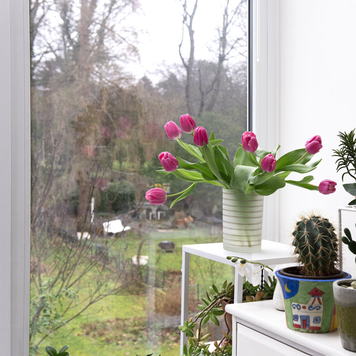 Blick aus Wintergarten mit Blumen